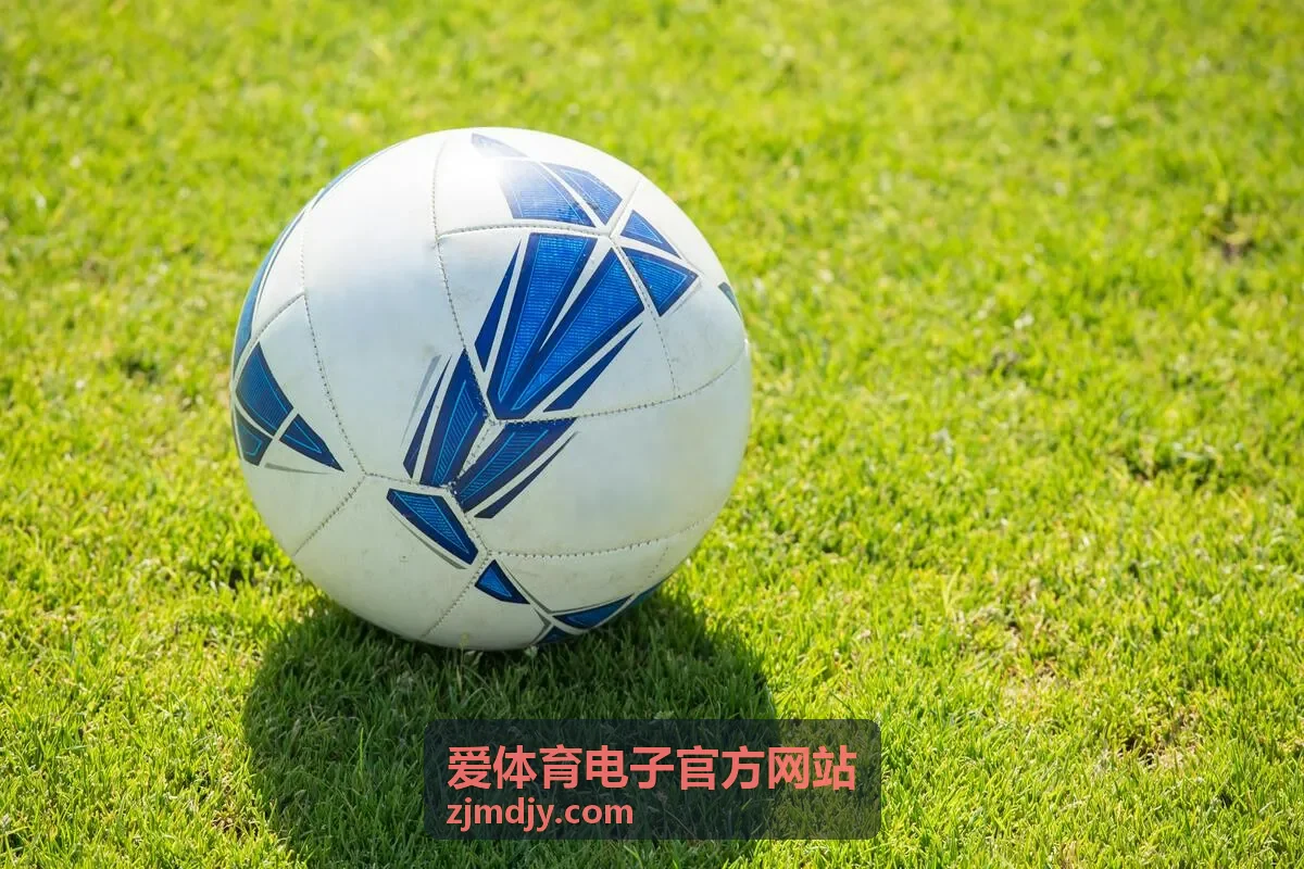 运动项目基础指南配图，来自爱体育电子官方网站